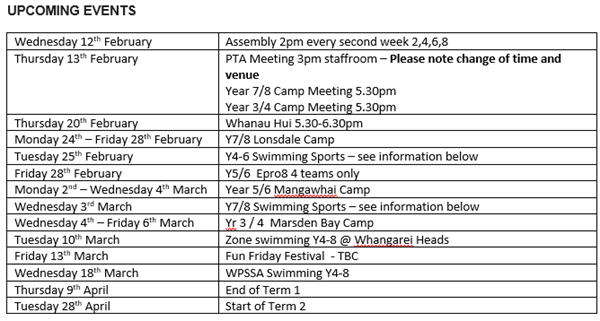 Parua Bay School Newsletter 12th February - Term 1, Week 2